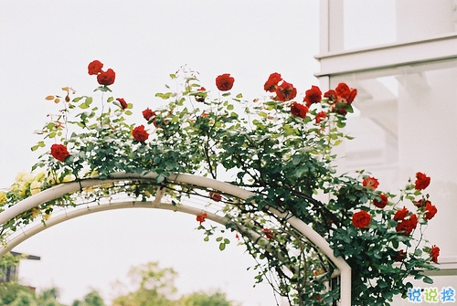 很深情很撩人的情話帶圖片 融化人心的小可愛女生說說14