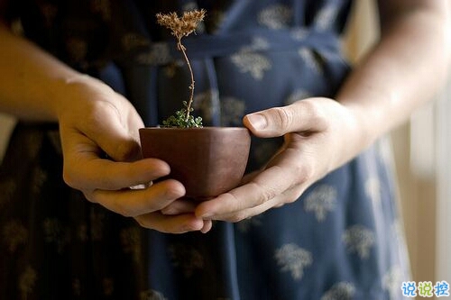 選擇放棄的傷感愛(ài)情說(shuō)說(shuō)帶圖片 描述對(duì)愛(ài)情感到無(wú)奈的說(shuō)說(shuō)13