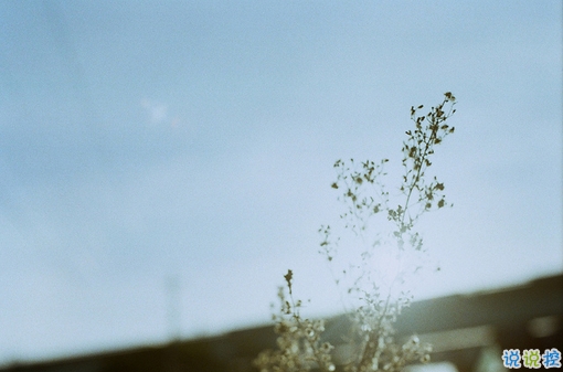 qq空間勵(lì)志說(shuō)說(shuō)帶圖片2019 00后都愛(ài)的勵(lì)志句子年輕人必備5