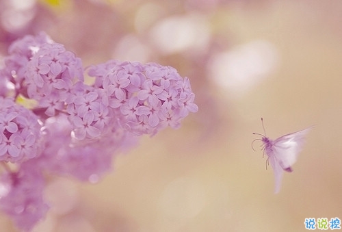 獨一無二的qq個性說說帶圖片 充滿陽光的經(jīng)典說說20193