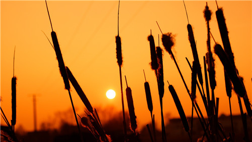 痛徹心扉的傷感愛(ài)情說(shuō)說(shuō)帶圖片 我在每個(gè)下雨天想起你7