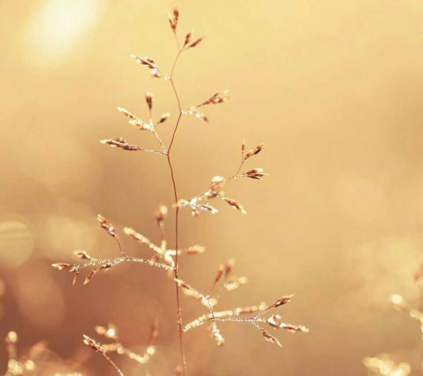 超唯美的經(jīng)典人生感悟說(shuō)說(shuō)帶圖片 都說(shuō)人生如戲11