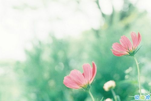 看透愛情的悲傷說說心痛分手帶圖片 開始很感動(dòng)過程很精彩結(jié)局不想說6