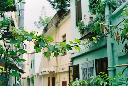 關(guān)于人生哲理和現(xiàn)實(shí)經(jīng)歷的一句話簡單精辟的說說帶圖片1