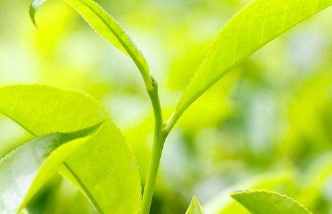 在夢(mèng)里也會(huì)潸然淚下的說說帶圖 如果時(shí)光倒流峩捫能抓得住什么4