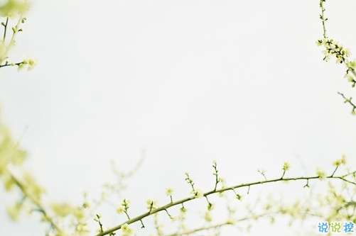 15句撩人的情話表白必備帶圖片 今天最流行的暖心情話合集11