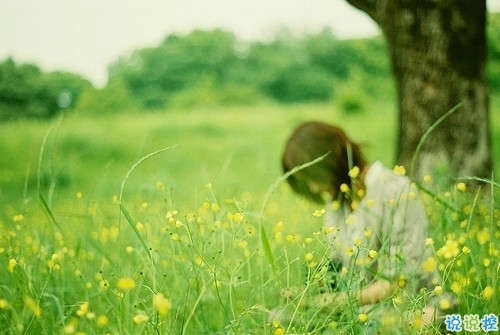 不敢再愛了的傷感說說帶圖片 愛情吃了虧的經(jīng)典傷感說說配圖2