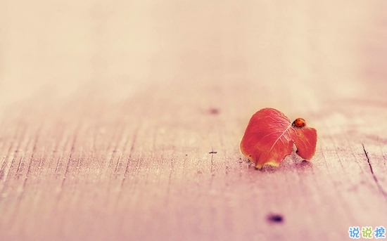 心累的說(shuō)說(shuō)對(duì)愛(ài)情失望了 身心疲憊想放棄說(shuō)說(shuō)1