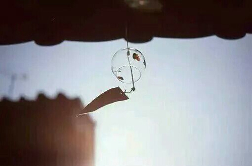 關(guān)于人生和愛情的唯美小清新句子帶圖片 我路過萬家燈火而你才是我的歸途13