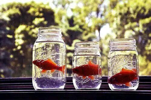 關(guān)于青春和成長(zhǎng)的適合文藝女生發(fā)說(shuō)說(shuō)的句子帶圖片14