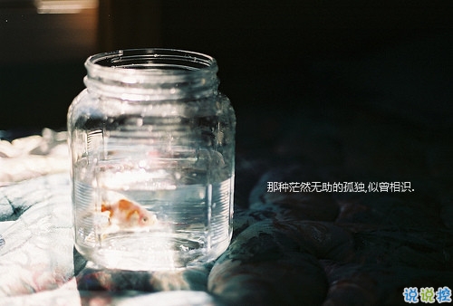 文字控偏愛的簡單文藝圖片句子 往后余生風雪是你平淡是你6