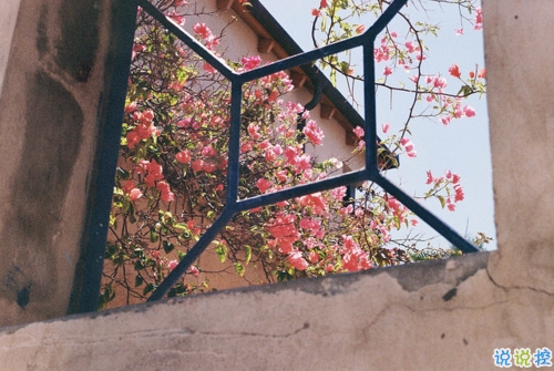 有點小傷感的說說唯美文藝帶圖片 今天心情不美好的說說很簡單10