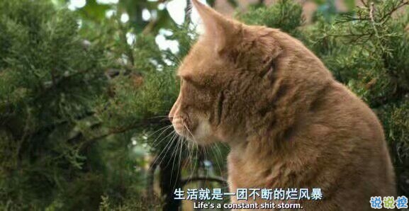 微信勵(lì)志說說圖片帶字：有時(shí)間絕望，還不如去吃美食然后睡個(gè)覺1