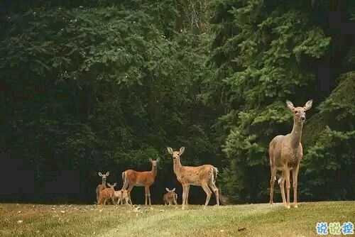 突然不喜歡一個(gè)人/放棄一個(gè)人是一種什么樣的感受？8