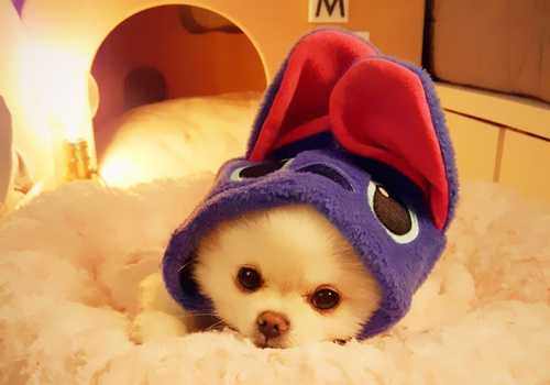 可以戳中中你笑點的搞笑說說帶圖片9