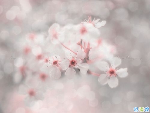 形容天氣很冷的微信說說帶圖片 冬天凍死人的說說精辟一句話7