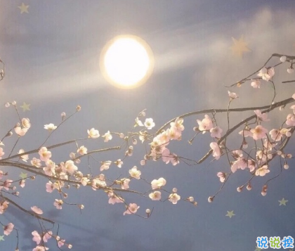 對愛情徹底失望的傷感說說帶圖片 一個人感到十分心累的傷感說說6