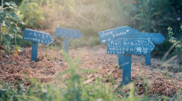 人生旅途中鼓舞你的很勵(lì)志的正能量說說帶圖片13