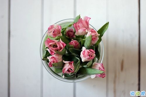 早安說說勵志致自己一句話 簡短正能量的早安說說大全2