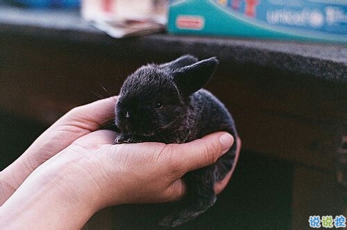 一句話勵志正能量心靈雞湯句子 簡單的正能量經(jīng)典句子2