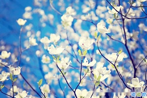 2019春分朋友圈早安祝福語(yǔ)帶圖片 春分唯美說說簡(jiǎn)單一句話4