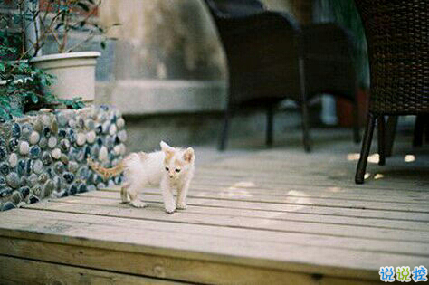 一個人獨(dú)處時的孤獨(dú)寂寞的說說帶圖片 你有看過凌晨三點(diǎn)的星星嗎10