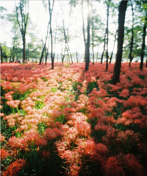 人在途中慢慢成長學會長大的經(jīng)典哲理句子2