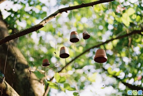 2019情人節(jié)一個(gè)人過(guò)的說(shuō)說(shuō)帶圖片 情人節(jié)傷感心情說(shuō)說(shuō)配圖3