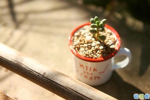 很有名的思想家們關(guān)于人生的一些建議 特別精辟的人生格言經(jīng)典說(shuō)說(shuō)1