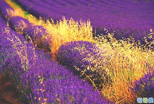 真實(shí)收獲的人生感悟說(shuō)說(shuō)帶圖片 都是人生路上換來(lái)的經(jīng)驗(yàn)教訓(xùn)12