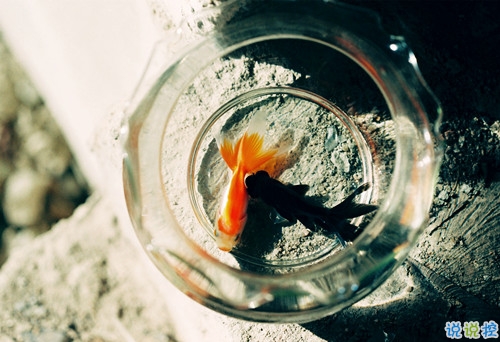 很精辟人生感悟的句子和圖片 寫人生感悟的句子帶圖片20189