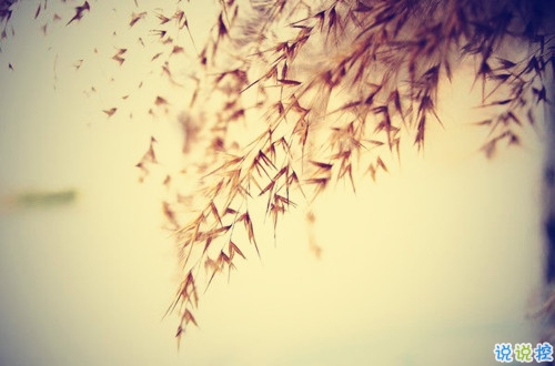 從來沒為自己活過是什么感受 表示很心累的心酸句子2