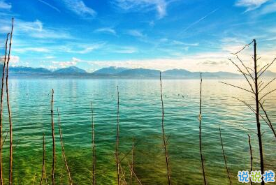 不是每件事都注定會(huì)成功，但是每件事都值得一試12