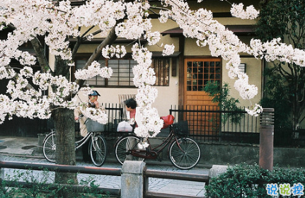 最火情侶說說秀恩愛短句帶圖片 超級喜歡一個人的說說10