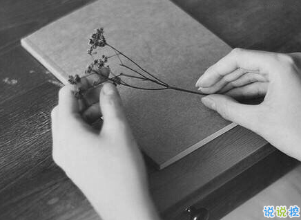 傷感憂郁心情說說帶圖片2018 原諒我一生愛憎分明不討巧7