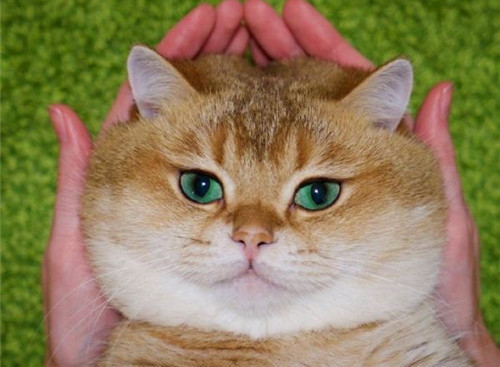 可以戳中中你笑點的搞笑說說帶圖片8