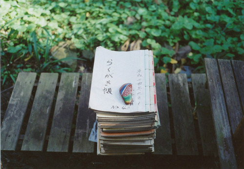 清新簡(jiǎn)單又有哲理的唯美英文句子帶圖片6