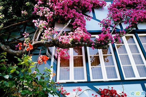 2019晚安勵志說說帶圖片 能夠給人安全感的句子經(jīng)典勵志7