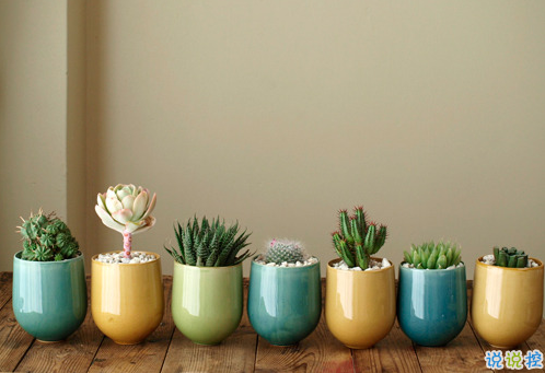 2019最新霸氣獨(dú)特的說說帶圖片 現(xiàn)在很受歡迎的一些個(gè)性句子13