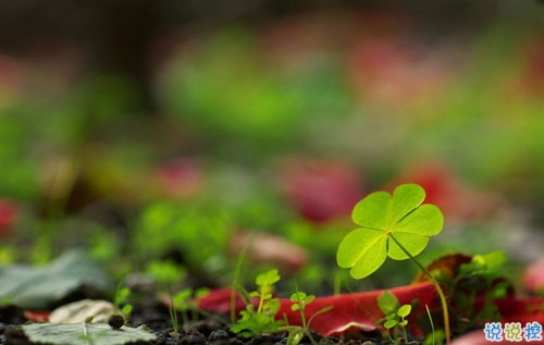 2019年元旦倒計時說說心情短語 元旦發(fā)微信朋友圈的經典說說2