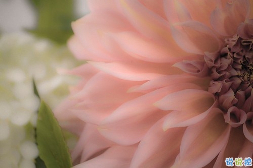 qq文字控愛(ài)情哲理說(shuō)說(shuō)帶圖片大全 路過(guò)了青春我們還剩下什么15