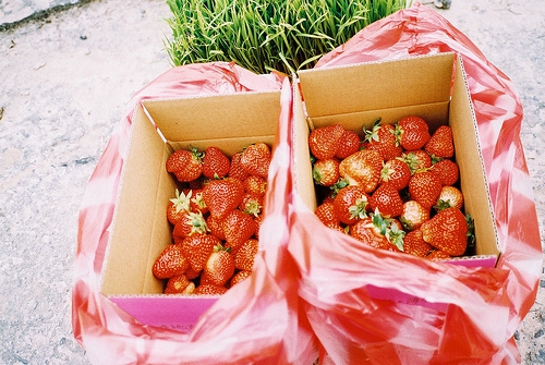 關(guān)于人生哲理和現(xiàn)實(shí)經(jīng)歷的一句話簡單精辟的說說帶圖片7