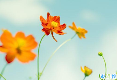 2019四月你好微信唯美說說帶圖片 3月再見4月你好心情短語14