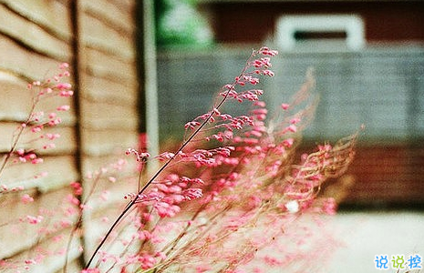 知性女人用的唯美朋友圈說說圖片 剪一段愛的時(shí)光永久收藏3