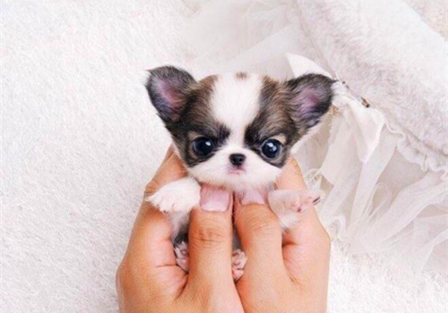 可以戳中中你笑點的搞笑說說帶圖片14