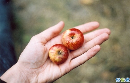 獨具一格的微信個性說說帶圖片 每一條都值得收藏10
