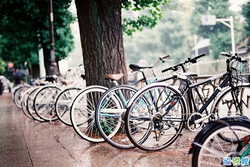 一個(gè)人情緒低落的傷感說說帶圖片 受過傷流過淚的難過說說3