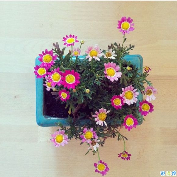 戀愛時(shí)的甜蜜小情話溫柔的句子帶圖片 我奔向你就像奔向未來6