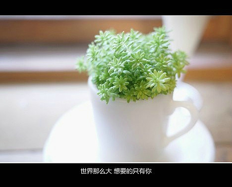 超傷感難過(guò)悲傷的愛(ài)情說(shuō)說(shuō) 你是我枯水年紀(jì)里的一場(chǎng)雨8