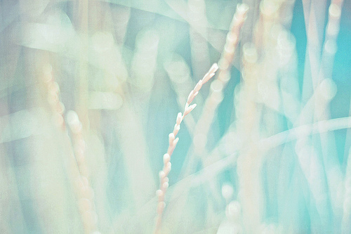 和六月說再見迎接美好的七月的正能量說說帶圖片6